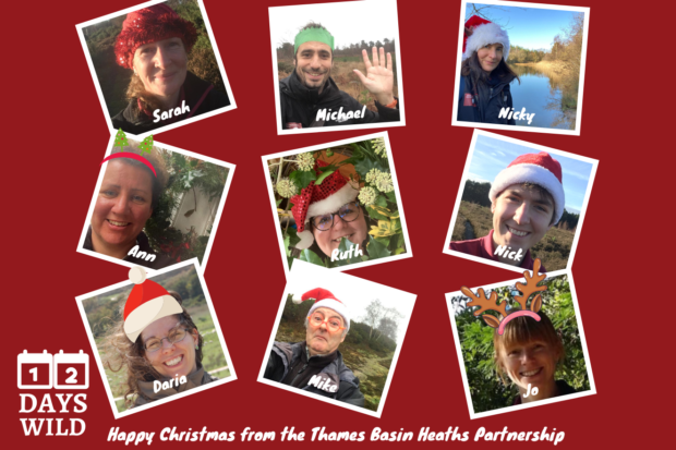 Christmas montage of all nine members of the heathland team.