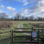 Photo of a gateway into a meadow, with blue sky behind.