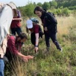 Photo of our team looking for the Woodlark's nest