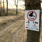 Photo of heathland taken in warm evening light. A sign tied to a tree asks us to stick to paths and keep dogs out of vegetation.