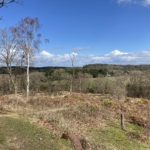 Photo of a spring scene, with lovely view out to distant countryside.