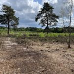 Photo of an area of heathland that has been cleared of vegetation.