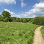 Photo of a lovely green meadow with a surfaced path running down the edge.