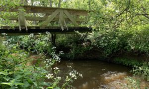 Photo taken from the banks of the Mill Bourne looking up to a wooden bridge. The scene is made prettier by the Cow Parsley that's in bloom.