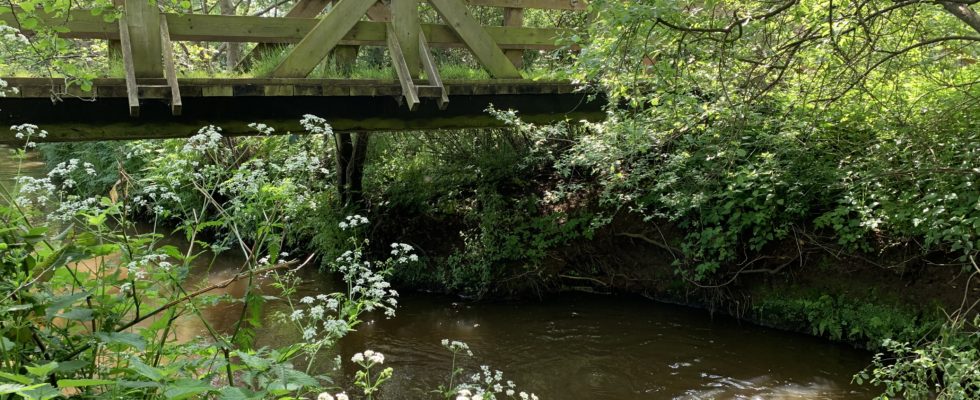 Photo taken from the banks of the Mill Bourne looking up to a wooden bridge. The scene is made prettier by the Cow Parsley that's in bloom.