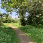 Photo of a green meadow. A gravel path goes through a hedge and out into a meadow.