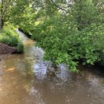 Photo of a shallow river, the Mill Bourne, with a steep, muddy bank.