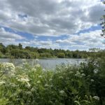 Photo taken looking out across a large lake. Thick vegetation in the foreground.