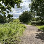 Photo taken in spring, when everything is very green. A wide gravel track , a low bench and the edge of the lake just visible.