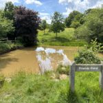 Photo of a muddy pond, with a sign saying "Friends Pond".