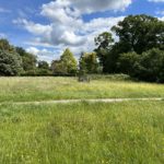 Photo of the view towards the Ranger's House. You can just glimpse the elegant brick building.