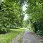 Photo of a shady surfaced path with large trees overhanging.