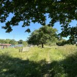 Photo of a view looking towards the River Thames in summer.