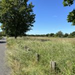 Photo taken looking down a single track road and across a meadow in summer.