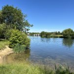 Photo of a view across the River Thames in summer.