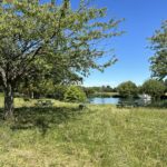 Photo of a picnic area beside the River Thames in summer.