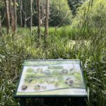 Photo of a sign overlooking a pond. It's very vegetated, you can hardly see the pond.