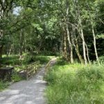 Photo of a new path and a newly built foot bridge crossing a stream. Poo bins beside the path.