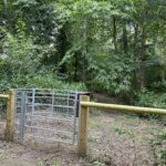 A kissing gate goes through into a wooded area.