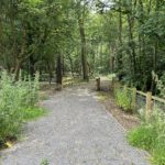 Photo of a woodland in dappled light. A wide surfaced track winds through.