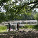 Pretty photo of some people under the shade of a large Oak tree at the edge of a large tranquil pond.