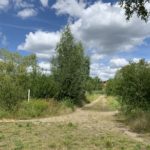 Photo of a wide gravel track along the banks of a lake.