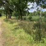 Photo of a wide gravel track along the banks of a lake.