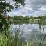 Photo of a view looking out across the lake.