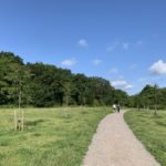 Photo of a surfaced path winding its way through a meadow.