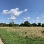 Photo of a surfaced path winding its way through a meadow.