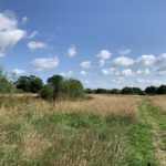 Photo of a quiet path through a meadow.