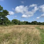 Photo of a quiet path through a meadow.