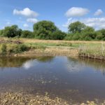 Photo taken looking across the Bourne. You can see where Horsell Common Preservation Soc have reinforced the banks to protect them from erosion.