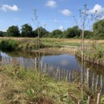 Photo taken looking across the Bourne. You can see where Horsell Common Preservation Soc have reinforced the banks to protect them from erosion.