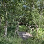 Photo of a wooden bridge crossing one of the streams.