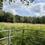 Photo taken looking out across a meadow. The grass is very long. The metal structure in the foreground is part of a kissing gate.