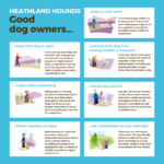 'Good dog guide' graphics. Please go to 'Good dog guide' on the main menu for an accessible version.