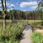 Photo taken looking along a boardwalk across a lake. Bright summer colours.