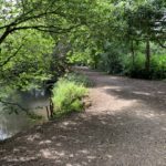 Photo of a wide shady path beside the River Blackwater.