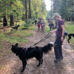 Photo of a group of ladies and families walking on a wide forest path. They're all holding their dogs on leads.