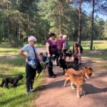 Photo of a group of ladies standing on a wide gravel path. They're all holding their dogs on leads.