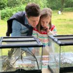 Photo of a dad and a girl peering in to glass tanks containing reptiles.