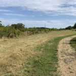 Photo taken in late summer. Shows a meadow that has been cut for hay. Lots of young shrubs either side of a gravel path.