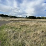 Photo with dramatic clouds above a meadow. A tarmac circuit snakes through the meadow.