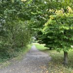 Photo shows a path leading off into a meadow. The trees are just starting to change colour for autumn.