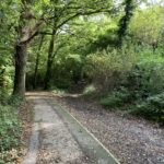 Photo of a tarmac path that runs down hill away from the meadow and into the woodland.