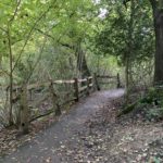 Photo of a woodland path. A section of fence protects the edge of a pond.