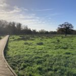 Photo of a wooden boardwalk stretching through an open grassy area