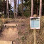 Photo of a bare soil bank with a sign explaining what bee banks are. Tall pine trees behind