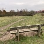 Photo of a grassy area in winter with a narrow path leading through it and a wooden bench